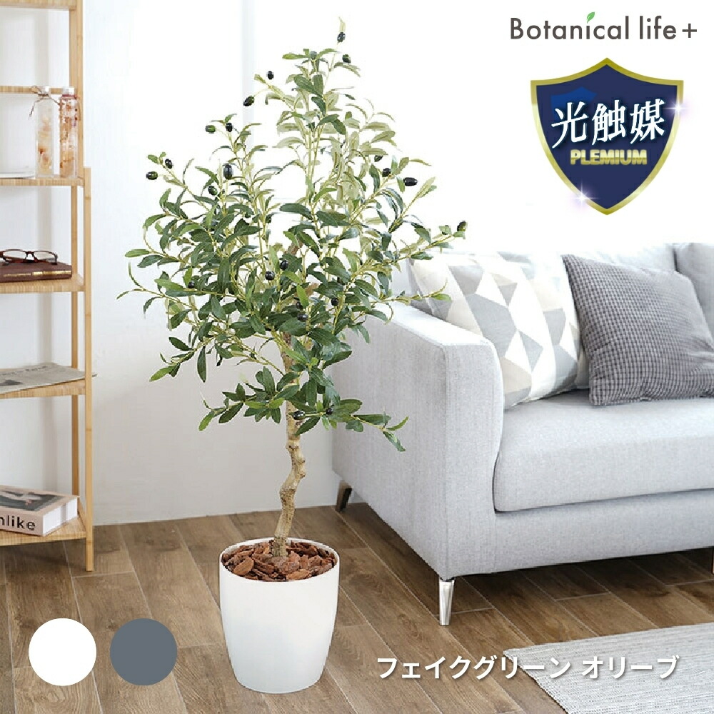 楽天市場】光触媒 フェイクグリーン オリーブ 観葉植物 人工観葉植物