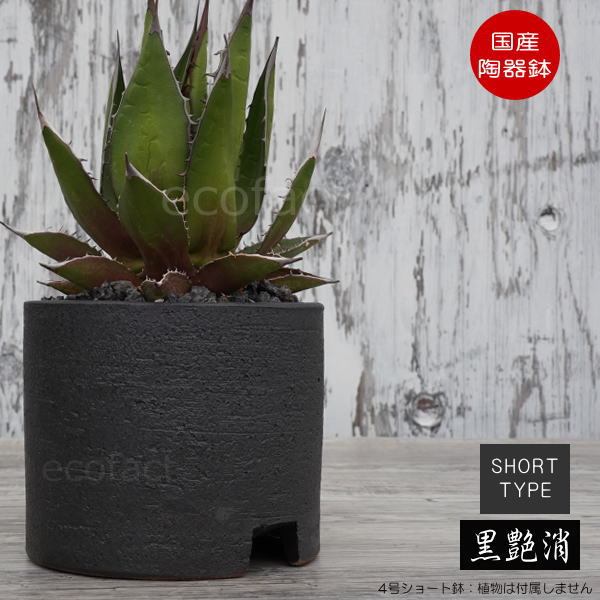 楽天市場】陶器鉢 植木鉢 4号ショートタイプ 筒型 黒 ブラック