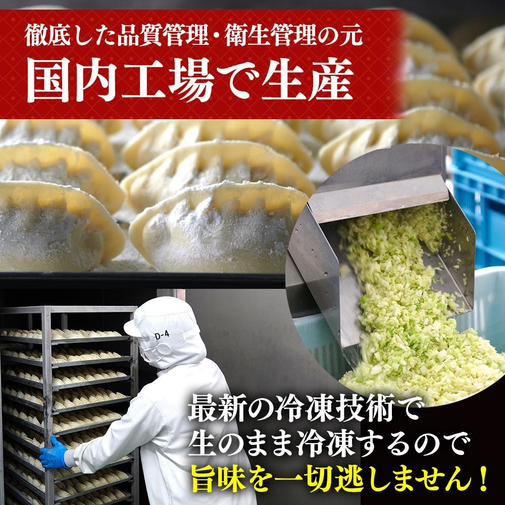 楽天市場】【ふるさと納税】横浜大宝餃子 もちもち国産ジャンボ大宝