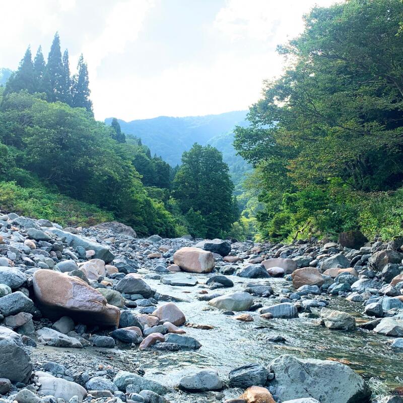 楽天市場】【ふるさと納税】【数量限定】糸魚川産ひすい勾玉（大） 桐