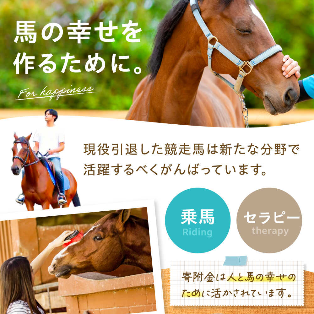 楽天市場】【ふるさと納税】TCCホースシュー 世界に一つだけの蹄鉄
