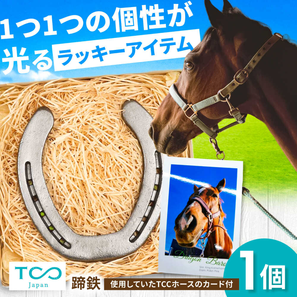 楽天市場】【ふるさと納税】TCCホースシュー 世界に一つだけの蹄鉄
