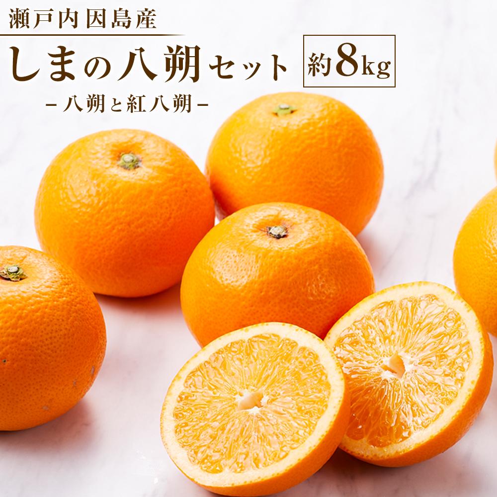 楽天市場】【ふるさと納税】しまの八朔セット約8kg（Mサイズ程度 約30