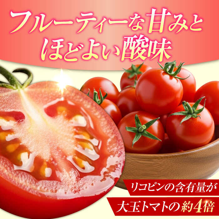 楽天市場】【ふるさと納税】【11月上旬〜翌年6月末まで順次発送