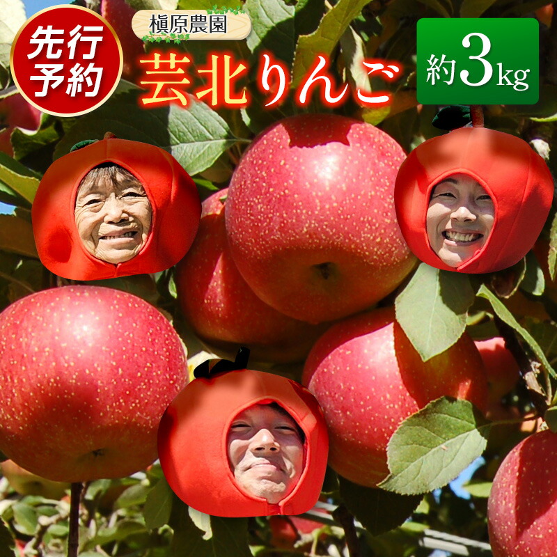 楽天市場】【ふるさと納税】りんご 国産 3kg 農家直送 槇原農園 芸北