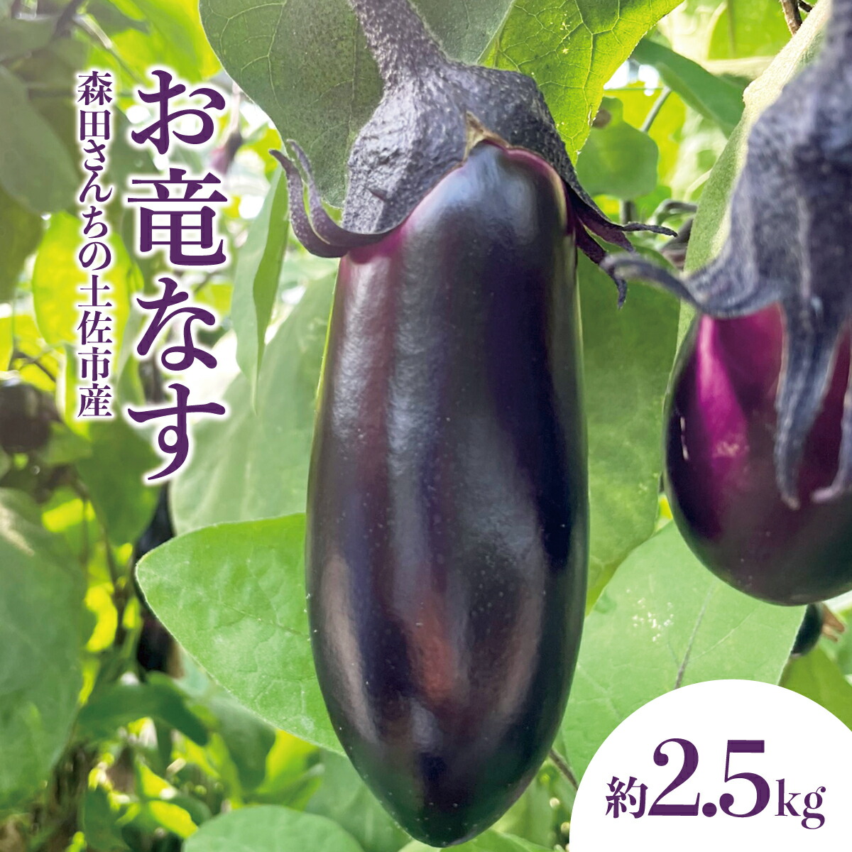 楽天市場】九州産 果肉が柔らかい！ 長茄子（長ナス・長なす・なすび