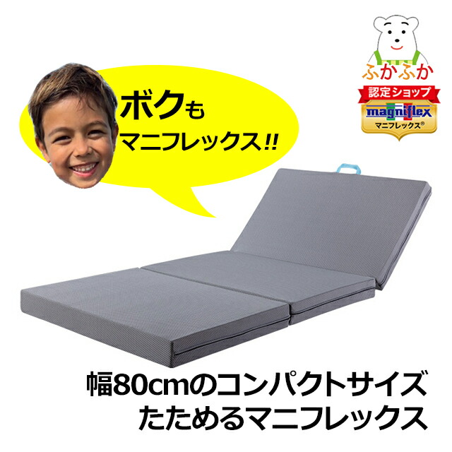 楽天市場】【ただいまP2倍】サステナブルウィング セミシングル 三