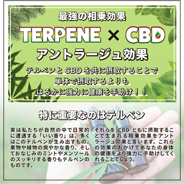 楽天市場】TERPENE CBDリキッド CBD15%配合 テルペン5%配合 10ml