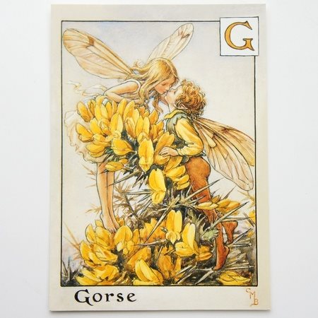 楽天市場】フラワーフェアリーズ ポストカード The Gorse Fiaries