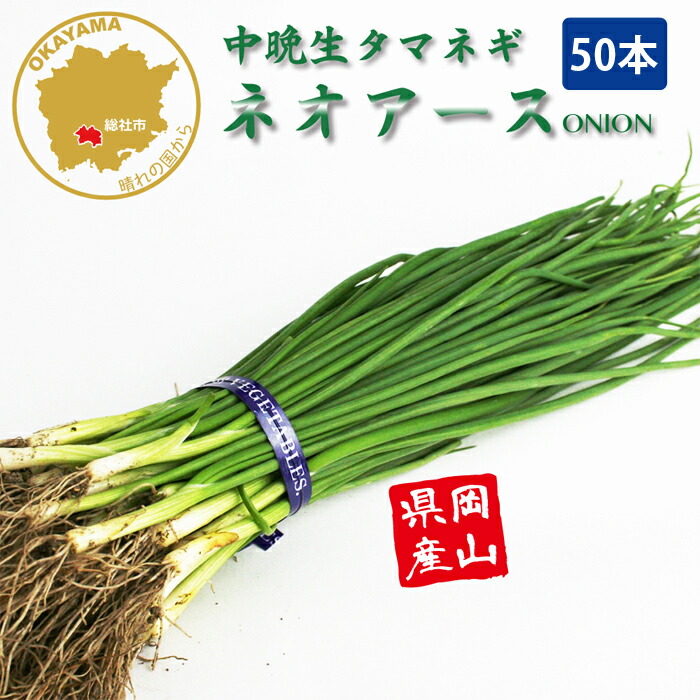 苗 玉ねぎ苗」の人気商品一覧 | 安い商品を通販サイトから探す - 価格.com