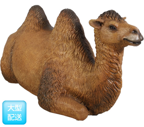 楽天市場】FRPアニマルオブジェ 休息するひとこぶラクダ置物 動物 駱駝