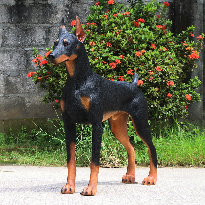 楽天市場】FRPアニマルオブジェ ドーベルマン置物 動物 犬 イヌ いぬ