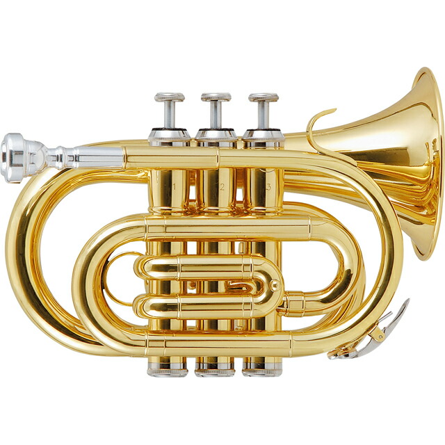 楽天市場】Kaerntner ケルントナー KTR-33P GOLD ポケットトランペット