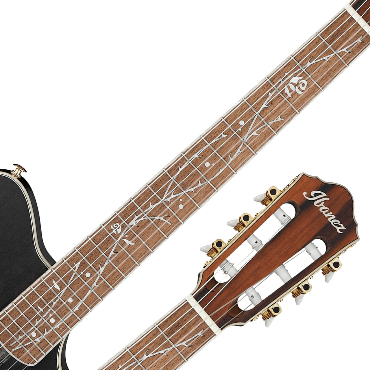 楽天市場】Ibanez ( アイバニーズ ) TOD10N TKF エレガット Tim Henson