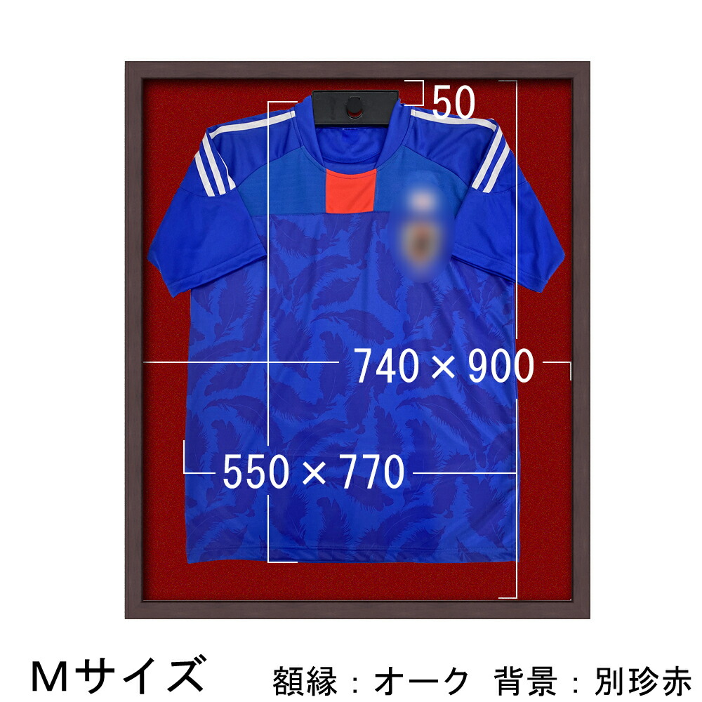 楽天市場】前開式ユニフォームケース・A UVカット強化アクリル付 ML