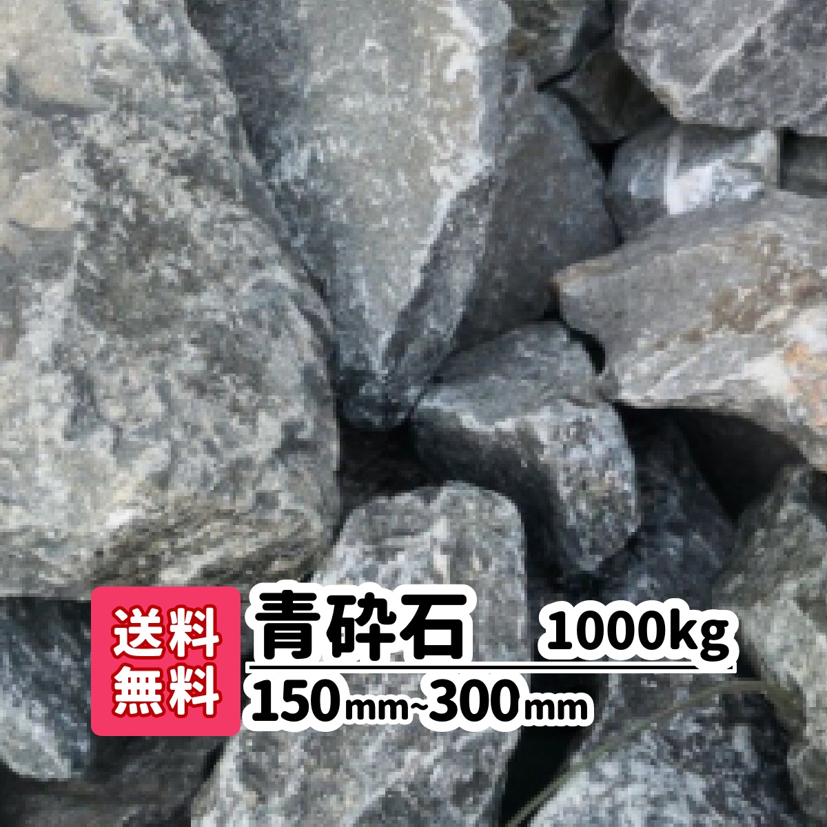 imgrc0087813737.jpg