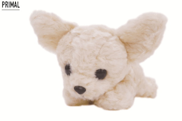 楽天市場】ぬいぐるみ チワワパプス 犬 ドック アニマル 動物 MON