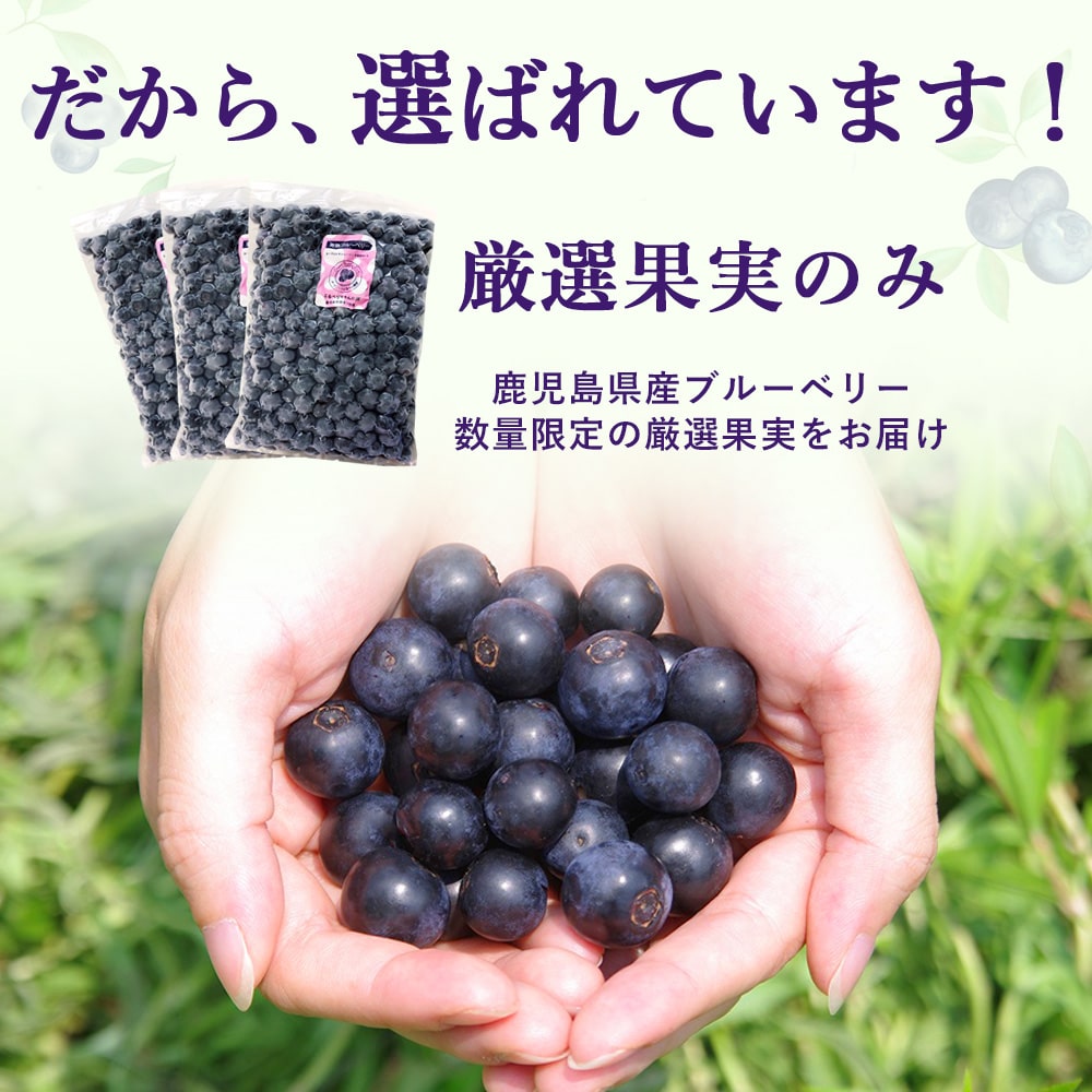 楽天市場】【クーポン利用で200〜5000円OFF】【ホワイトデーにおすすめ