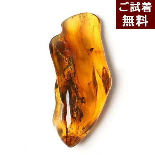 楽天市場】化石 虫入り琥珀原石 イエローアンバー 蜂 蚊 はち ハチ カ