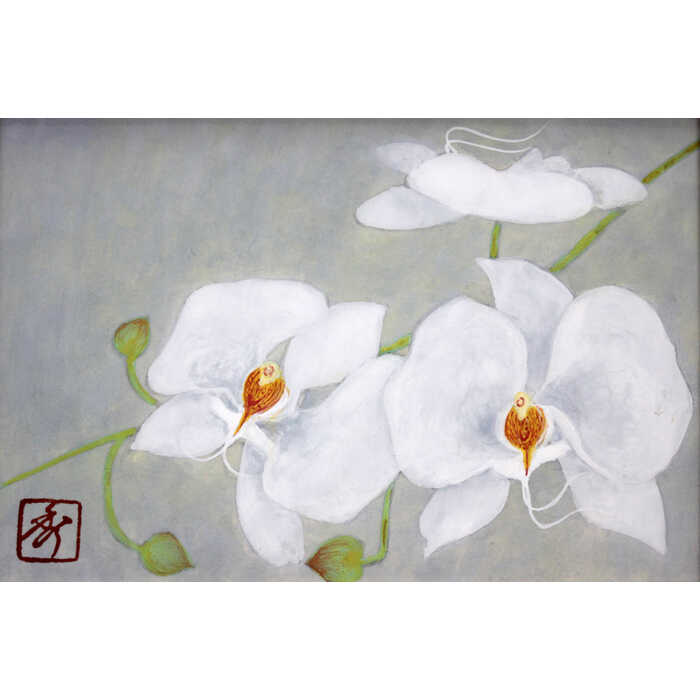 楽天市場】絵画 橋本篁丘 日本画 『胡蝶蘭』 花 静物 可愛らしい