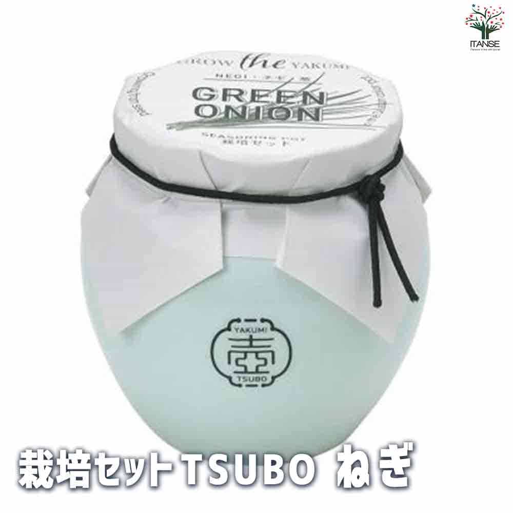 楽天市場】【マラソン☆ポイント5倍】栽培セット TSUBO ねぎ 野菜の苗