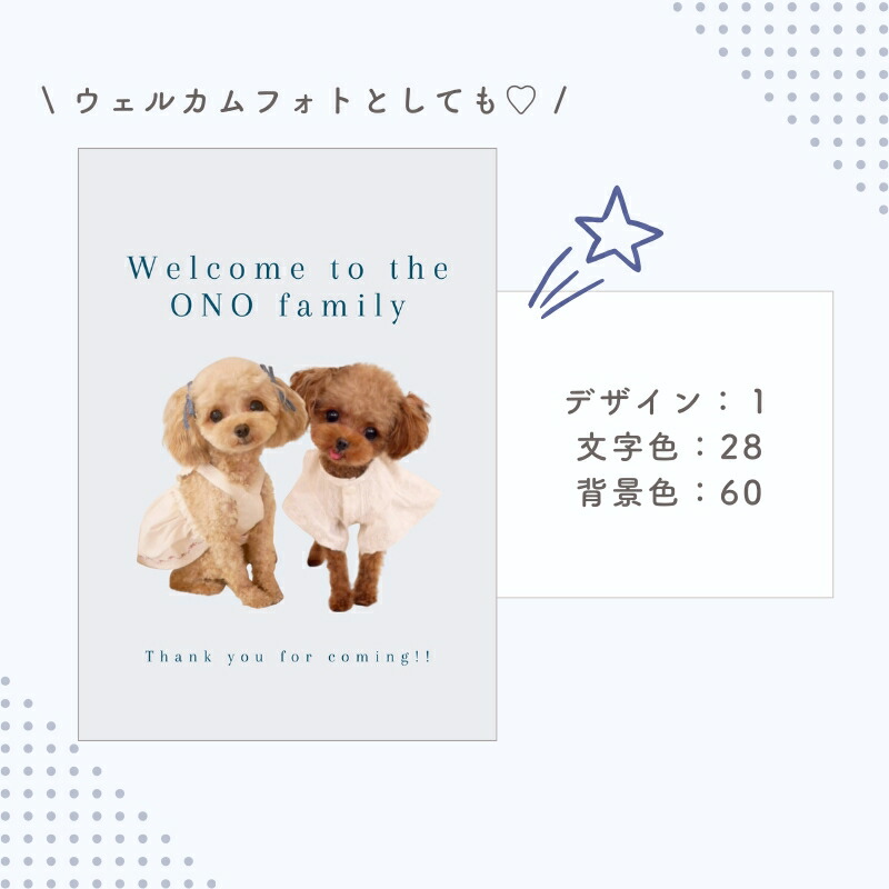 楽天市場】【お好きなお写真で作れる♪】 即納 オリジナル A4 フォト