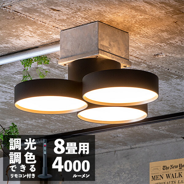 楽天市場】エントリーで+5倍 全商品対象 ARTWORKSTUDIO シーリング