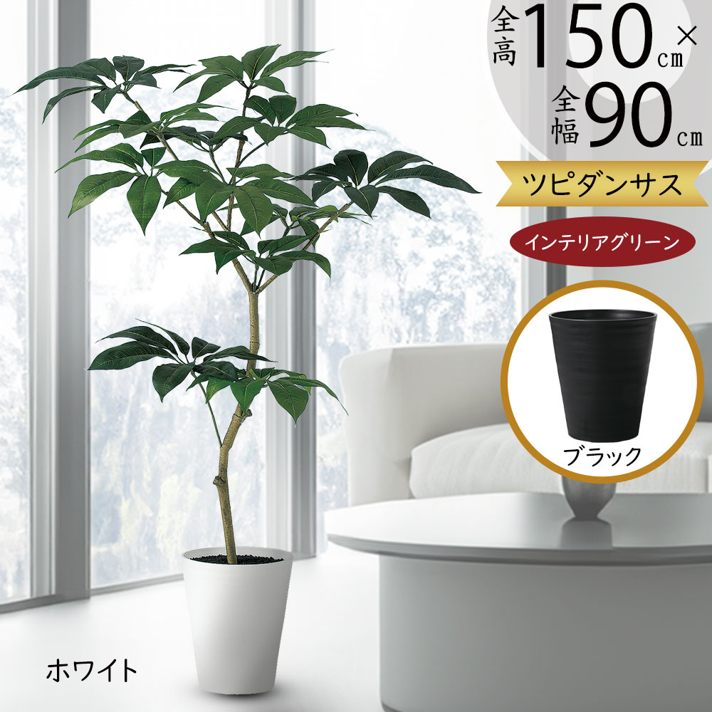 楽天市場】フェイクグリーン 観葉植物 ツピダンサス おしゃれ