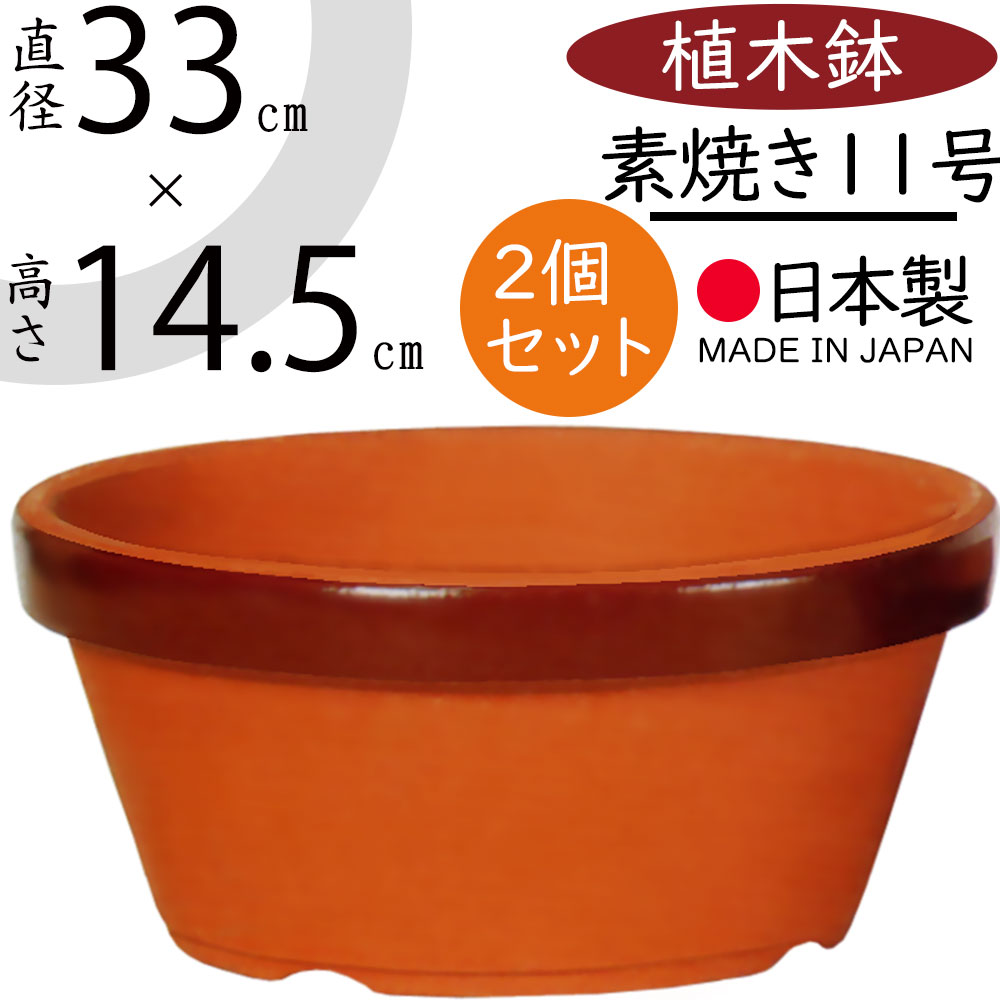 r170-17-z1.jpg
