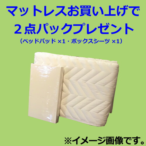 楽天市場】シーリー マットレス シーリースポーツ リリース Sealy