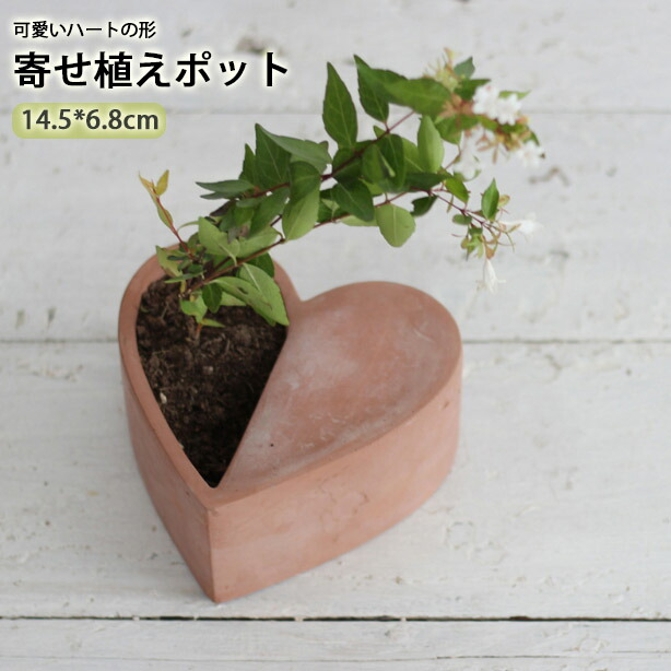 楽天市場】ハート（植木鉢・プランター｜ガーデニング・農業）：花