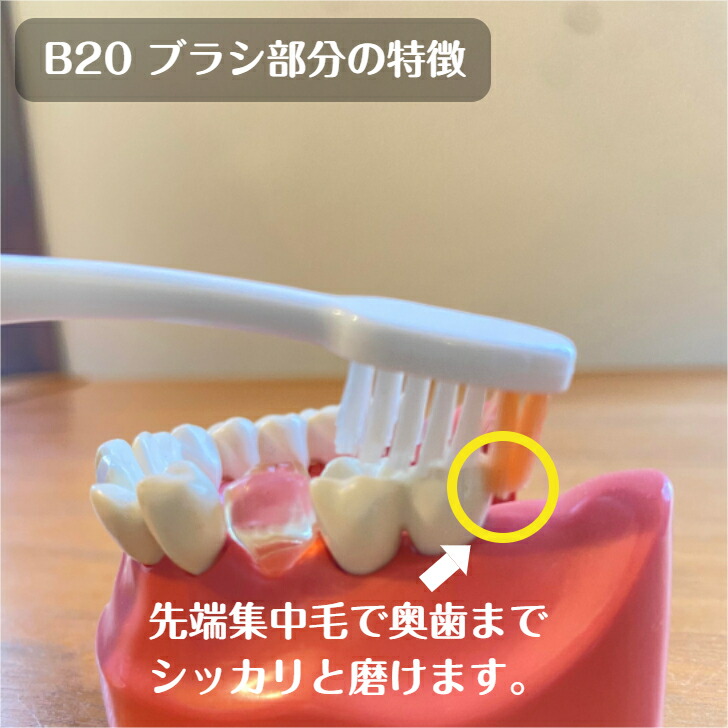 楽天市場】【送料無料！】ルシェロ B-20 M S ピセラ 歯ブラシ 5本
