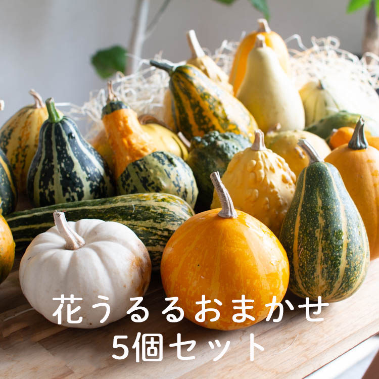 240920-104.jpg