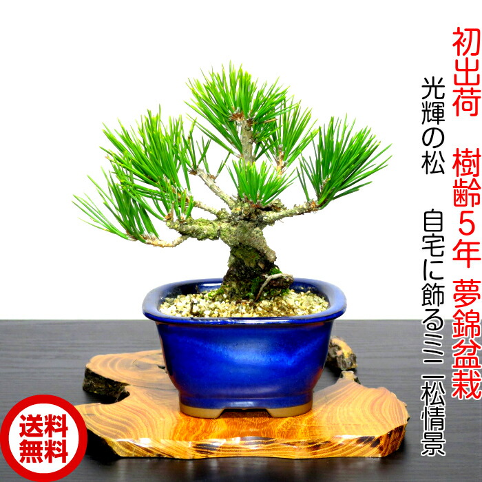 hb00103-01-a.jpg