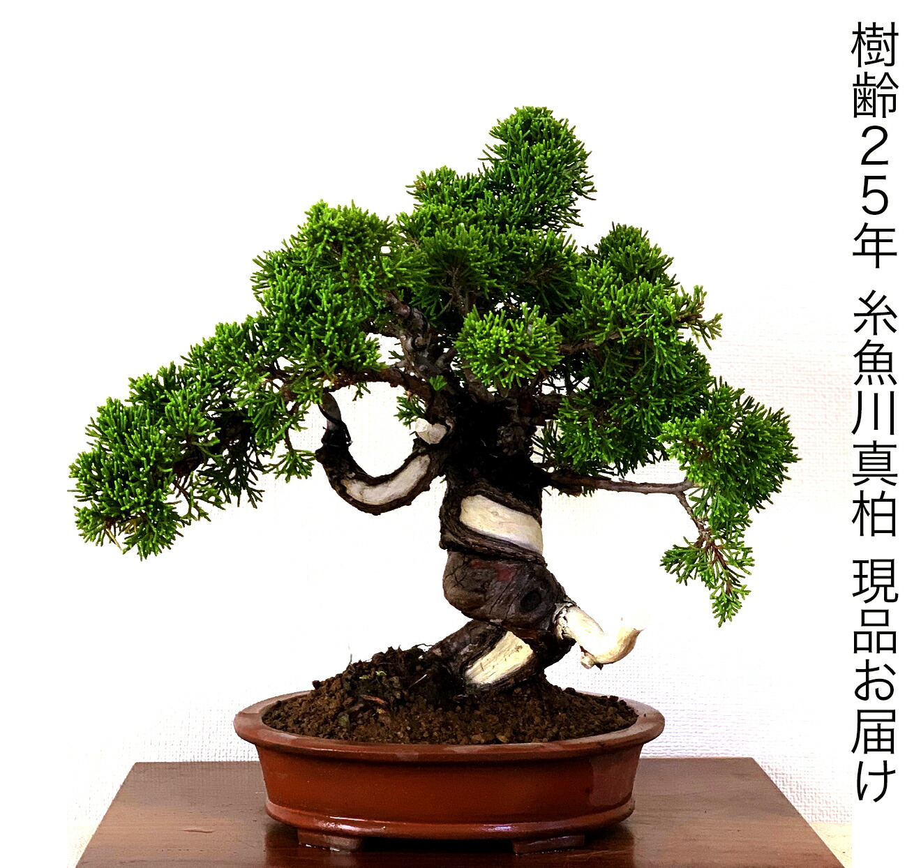 kb0009-01-a.jpg