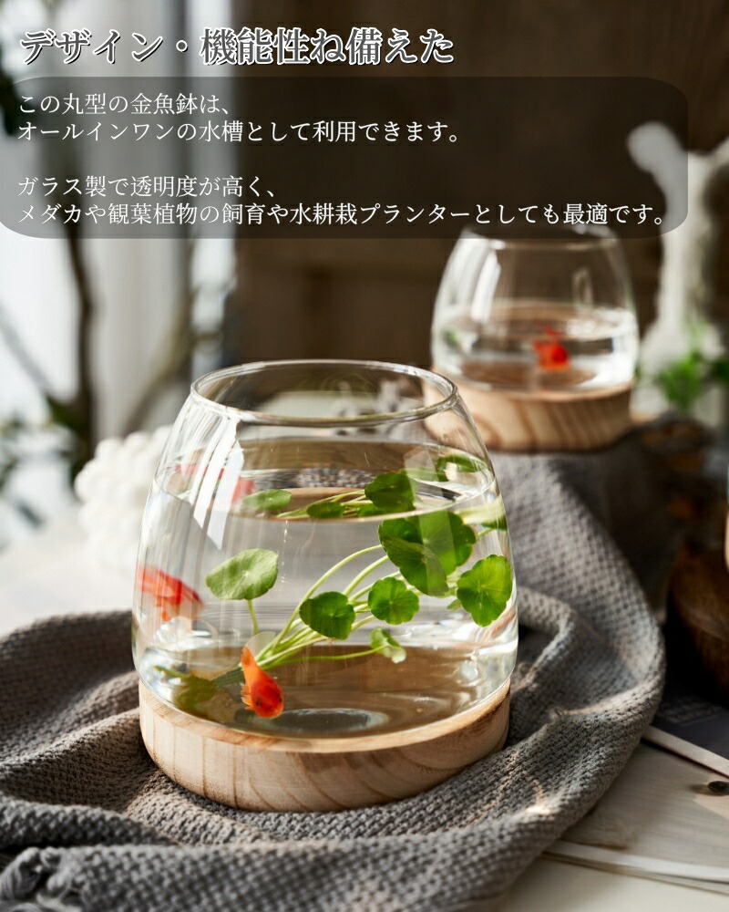 楽天市場】金魚鉢 花瓶 睡蓮鉢 ガラス製 天然木ベース付き 丸型 水槽