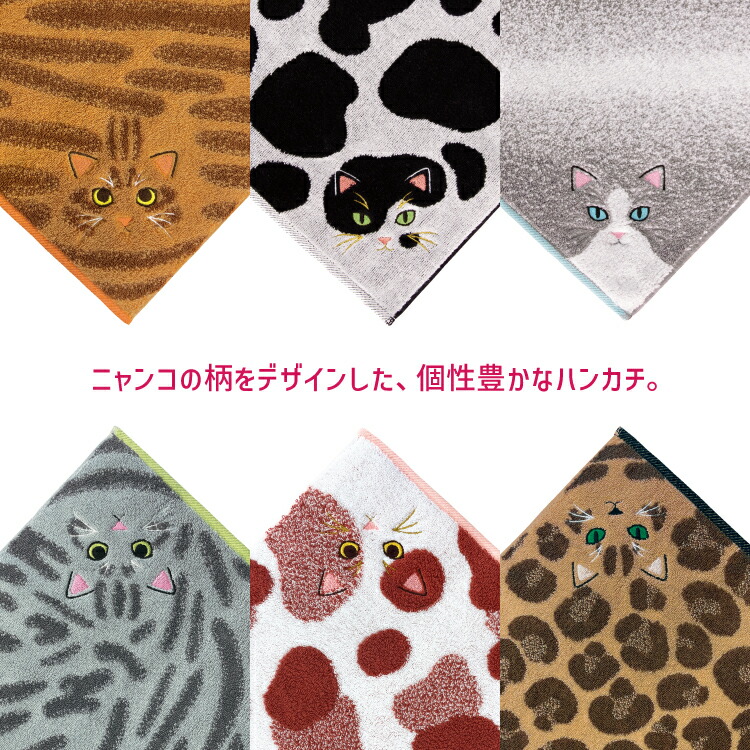 楽天市場】【2月25日 5％OFFクーポン】ハンドタオル | うちのニャンコ