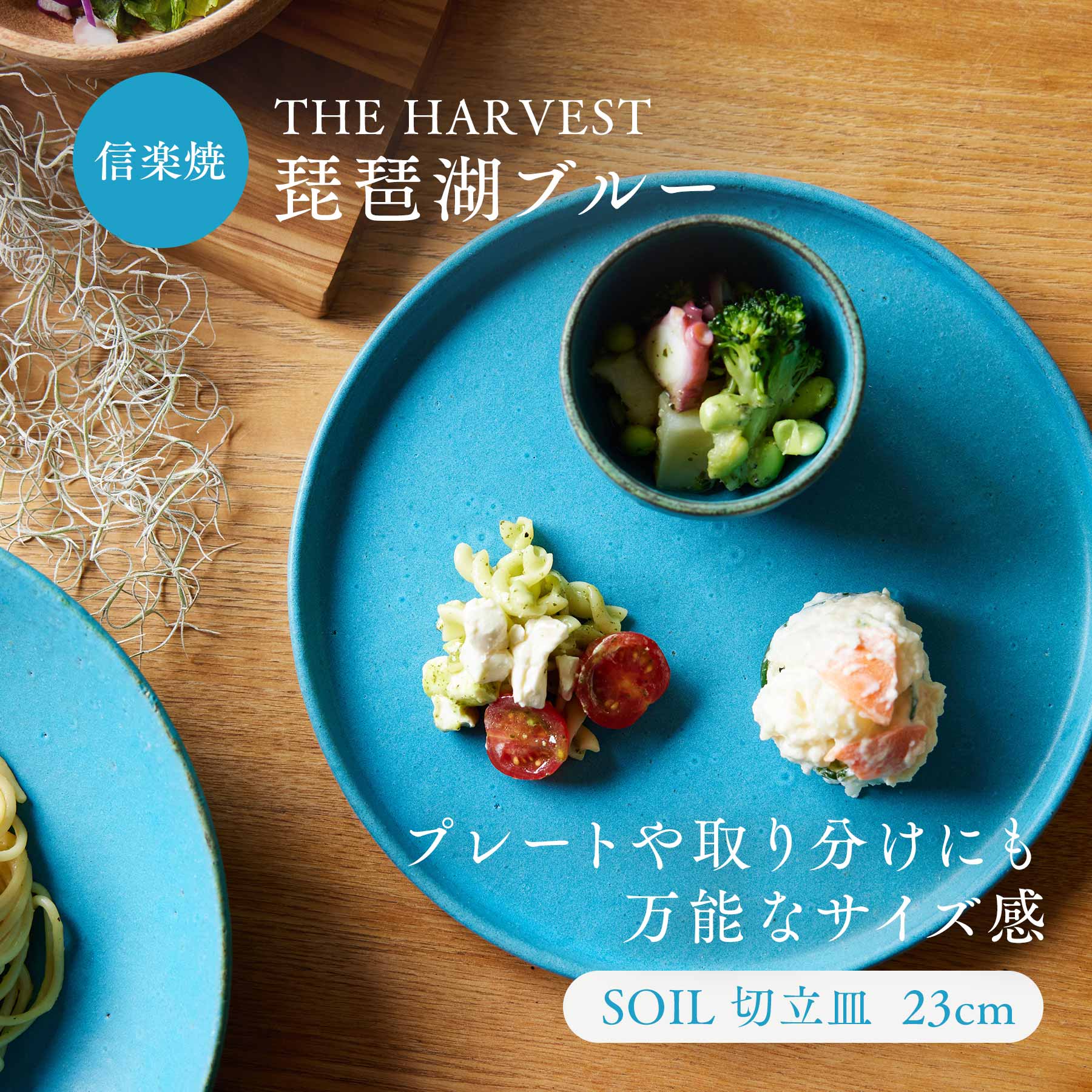 楽天市場】切立皿 プレート 23cm スタックトレイ THE HARVEST / SOIL