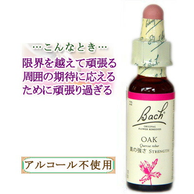 楽天市場】バッチフラワーレメディ オーク 癒しグッズ-失意と絶望 10ml