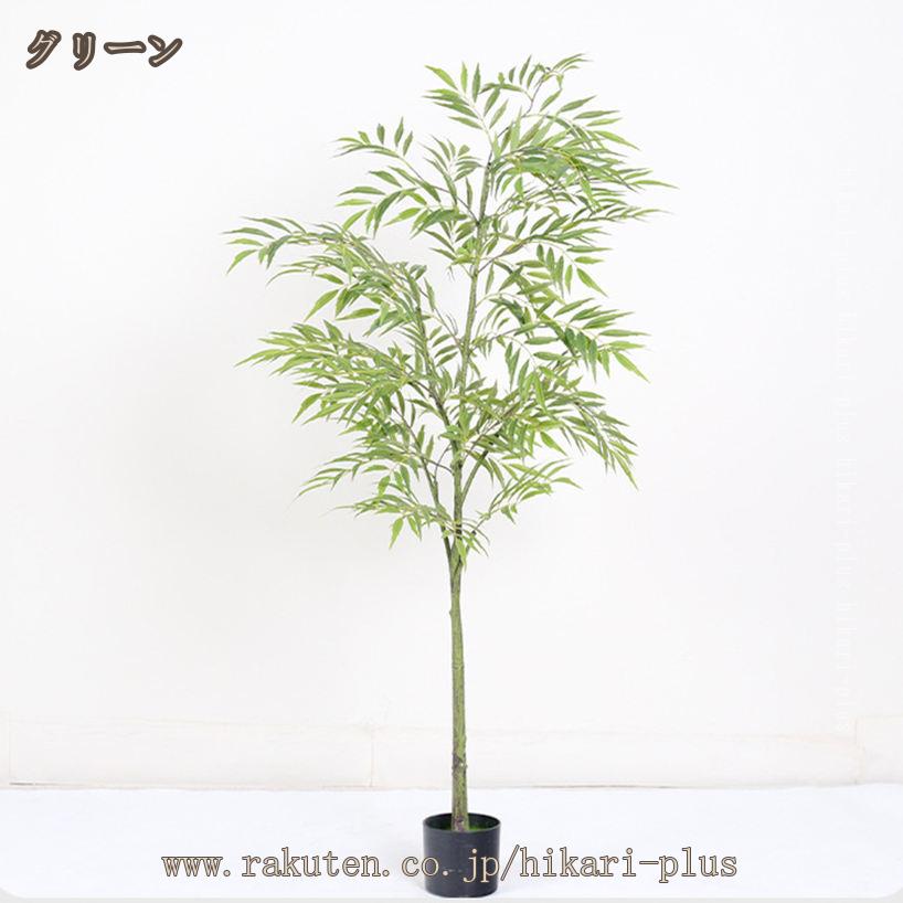 バンブー 観葉植物」の人気商品一覧 | 安い商品を通販サイトから探す