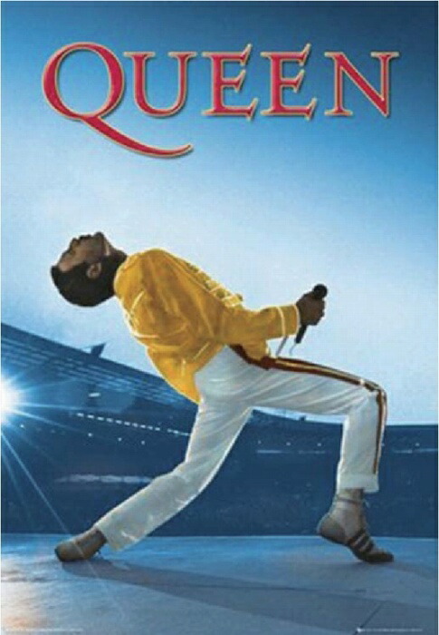 楽天市場】QUEEN クイーン フレディ マーキュリー ポスター フレーム