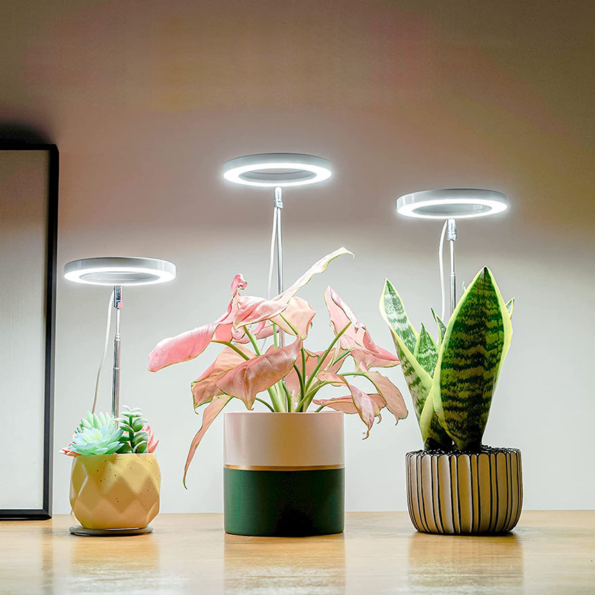 楽天市場】LED植物育成ライト 植物育成ライト 鉢植えに差し込む 4点