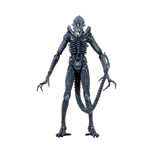 楽天市場】エイリアン アクション フィギュア 人形 ネカ NECA Series 2