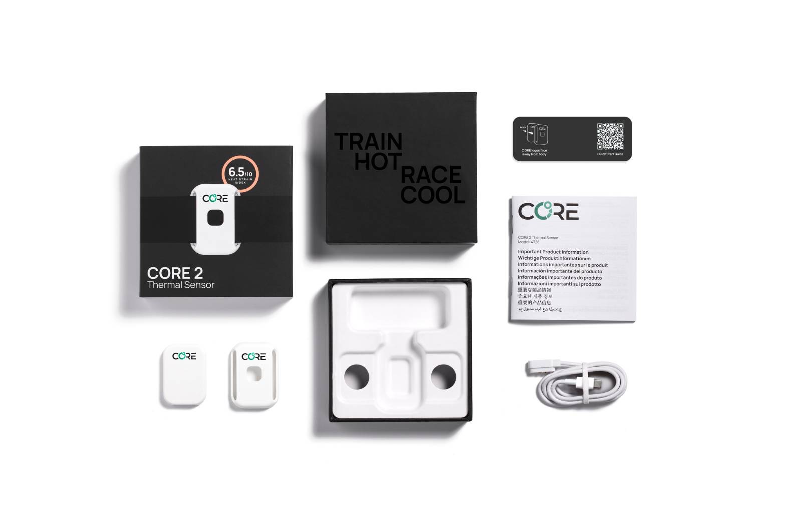 core2-bodytemp04.jpg