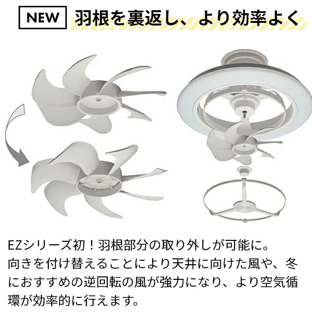 楽天市場】【楽天2位】ドウシシャ 【選べる豪華特典】 サーキュライト