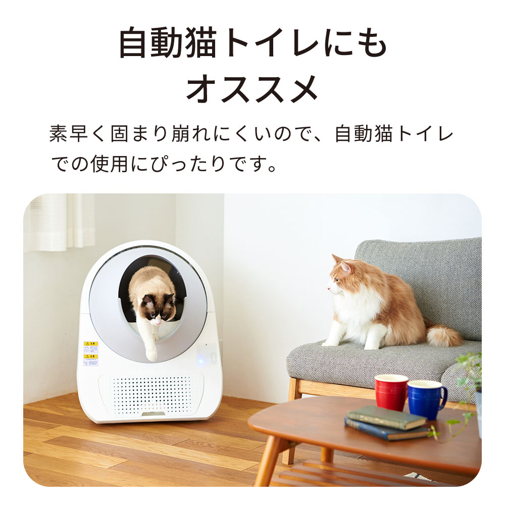 楽天市場】【OFT】 BOXIECAT ボクシーキャット ブルー 7.2kg] 猫砂