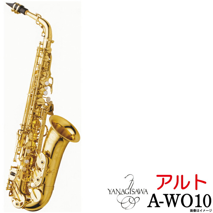 楽天市場】yanagisawa a-wo10の通販