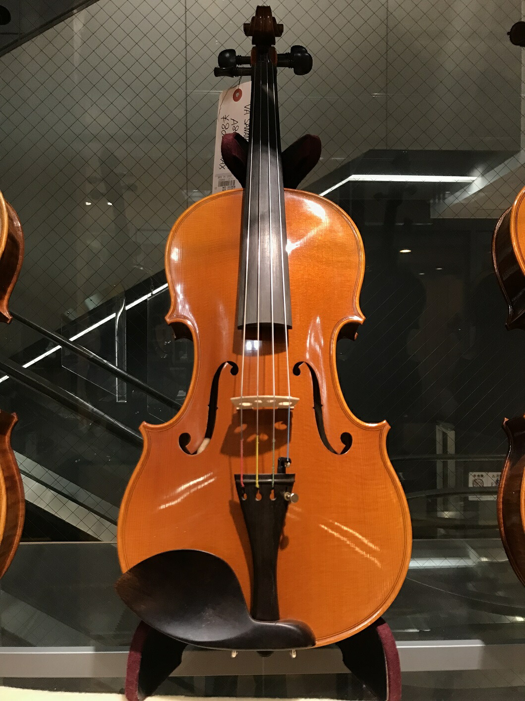 楽天市場】【中古】San Antonio Viola A802 Chinaサン=アントニオ