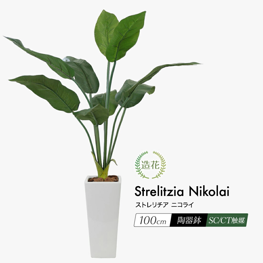 楽天市場】ストレリチア ニコライ 100cm 極楽鳥花 人工観葉植物 リアル