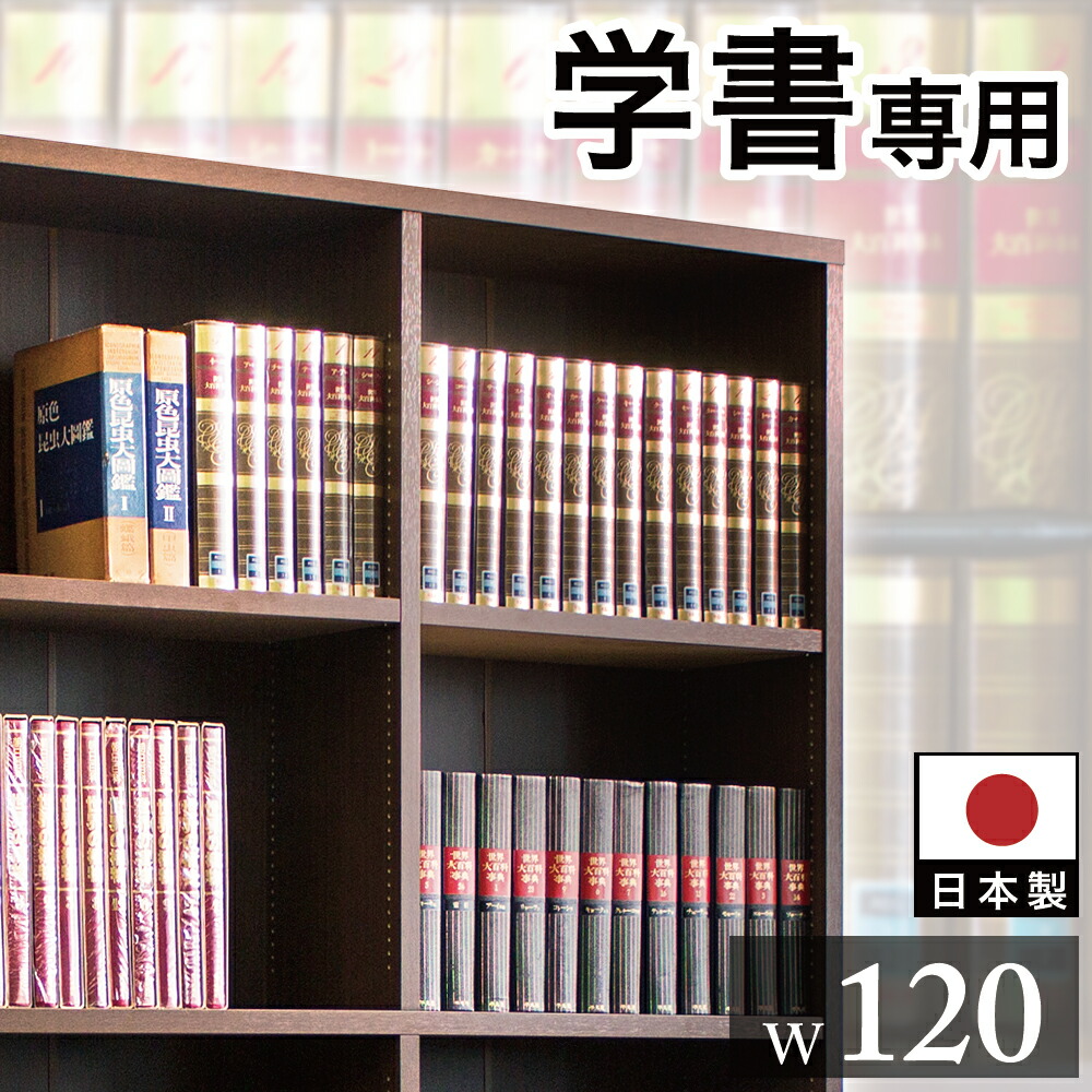 楽天市場】【6ヶ月保証付】本棚 書棚 強化書棚 幅120の筋肉シェルフ